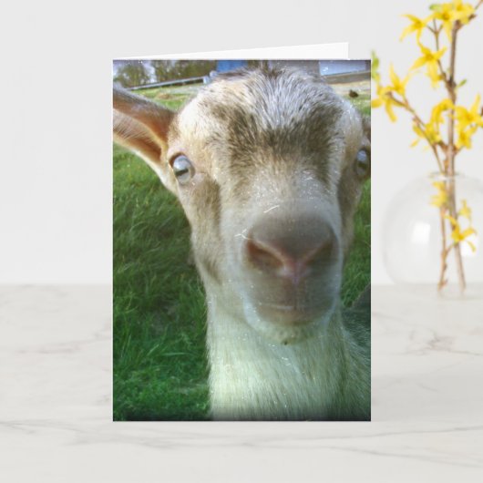 Thunder Kaart (Gele Bloem)