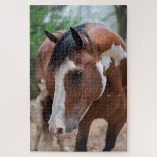 Thunder Pose Legpuzzel
