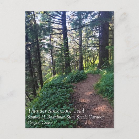 Thunder Rock Cove Trail, Samuel H Boardman, Oregon Briefkaart (Voorkant)
