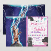 Thunder warrior cat kaart (Voorkant / Achterkant)