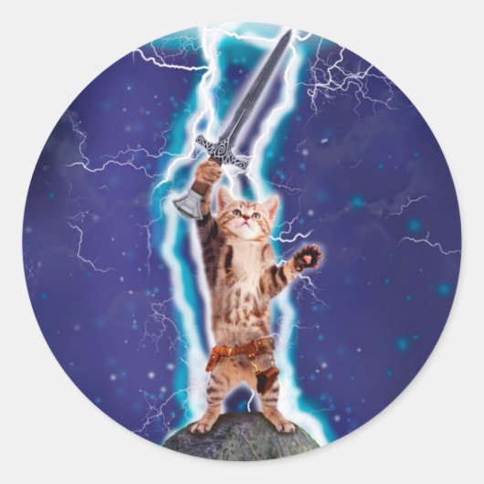 Thunder warrior cat ronde sticker (Voorkant)