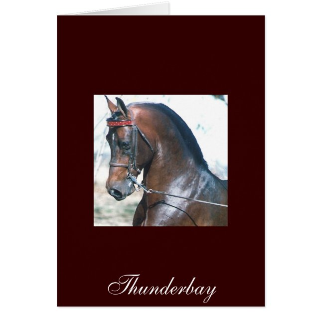 Thunderbay (Voorkant)