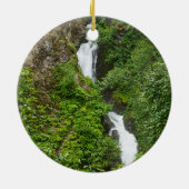 Thunderbird Herfsten Painterly Ornament Souvenir (Achterkant)