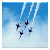 Thunderbird in Flight Photo Poster (Voorkant)