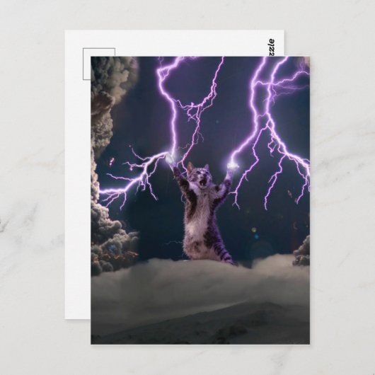 Thunderbolkat Briefkaart (Voorkant / Achterkant)