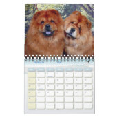 Thunderbolt Chows Kalender (Feb 2027)