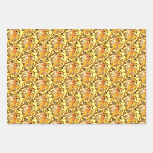 ThunderCats | Afbeelding van het Cheetara-teken Inpakpapier Vel (Voorkant 3)