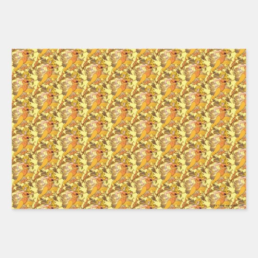 ThunderCats | Afbeelding van het Cheetara-teken Inpakpapier Vel (Voorkant)