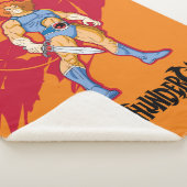 ThunderCats | Lion-O Character Graphic Sherpa Deken (3/4)