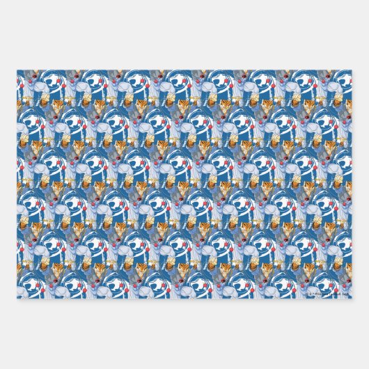 ThunderCats | Tygra Character Graphic Inpakpapier Vel (Voorkant)