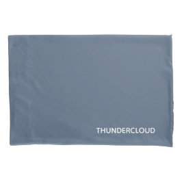 Thundercloud Blauw-grijze kleurennaam Kussensloop
