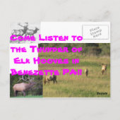 Thundering Elk BENEZETTE PA Briefkaart (Achterkant)