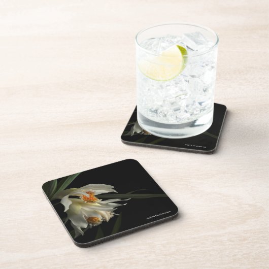 Thunia Marshalliana Bier Onderzetter (Rechterzijde)