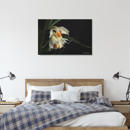 Thunia Marshalliana Canvas Afdruk (Insitu (Slaapkamer))