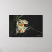 Thunia Marshalliana Canvas Afdruk (Voorkant)