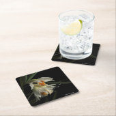 Thunia Marshalliana Kartonnen Onderzetters (Insitu)