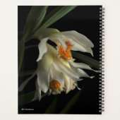 Thunia Marshalliana Planner (Achterkant)