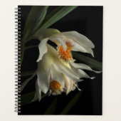 Thunia Marshalliana Planner (Voorkant)