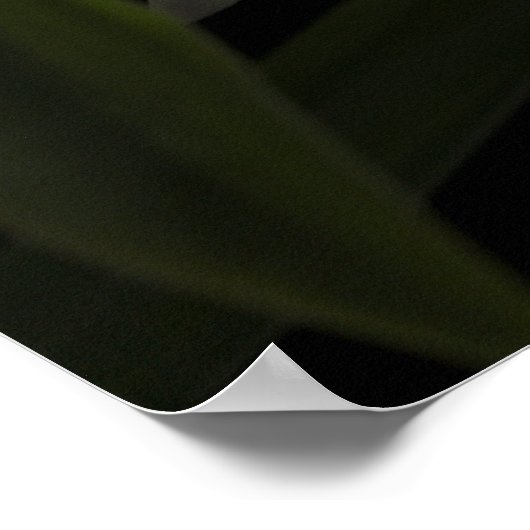 Thunia Marshalliana Poster (Hoek)