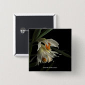 Thunia Marshalliana Vierkante Button 5,1 Cm (Voorkant /achterkant)