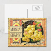Thurber Muscat Grapes -  krateletiket Briefkaart (Voorkant / Achterkant)