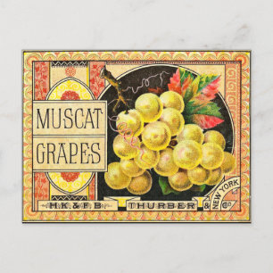 Thurber Muscat Grapes -  krateletiket Briefkaart