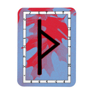 Thurisaz Viking Rune Magnet - Defensie! Magneet