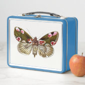 Thyatira batis - de peach Blossom Moth (In situ)