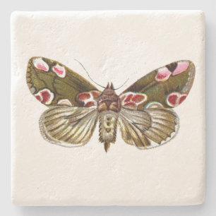 Thyatira batis - de peach Blossom Moth Stenen Onderzetter