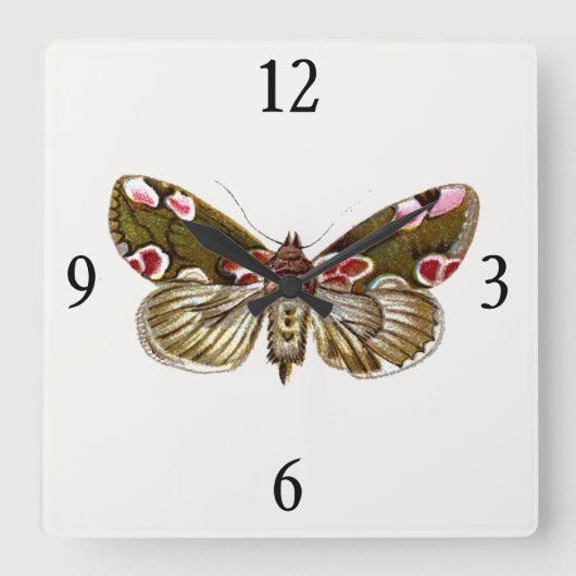 Thyatira batis - de peach Blossom Moth Vierkante Klok (Voorkant)
