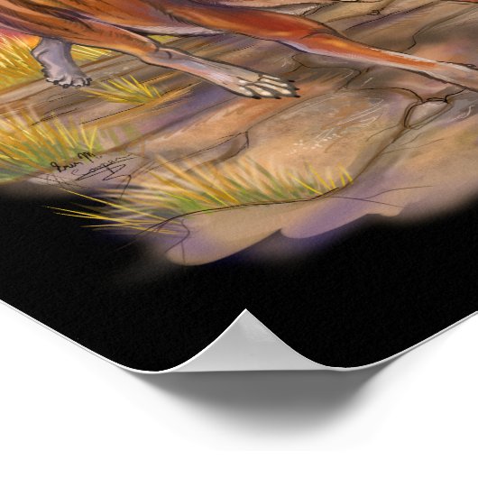 Thylacine Poster (Hoek)