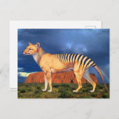 Thylacine (Tasmaanse tijger) Briefkaart (Voorkant / Achterkant)