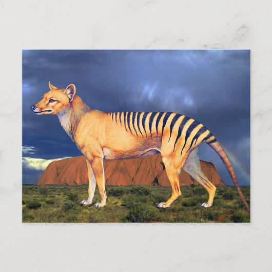 Thylacine (Tasmaanse tijger) Briefkaart (Voorkant)