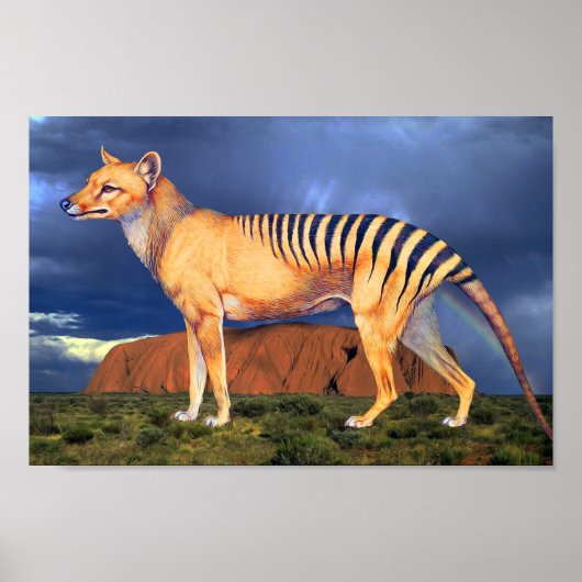 Thylacine (Tasmaanse tijger) Poster (Voorkant)