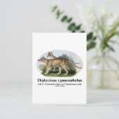 Thylacinus cynocephalus (Tasmaanse tijger of wolf) Briefkaart (Staand voorkant)