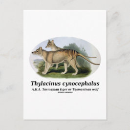 Thylacinus cynocephalus (Tasmaanse tijger of wolf) Briefkaart