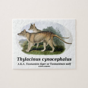 Thylacinus cynocephalus (Tasmaanse tijger of wolf) Legpuzzel