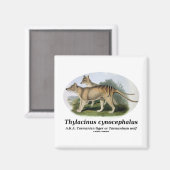 Thylacinus cynocephalus (Tasmaanse tijger of wolf) Magneet (Voorkant / Achterkant)