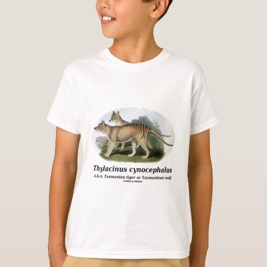 Thylacinus cynocephalus (Tasmaanse tijger of wolf) T-shirt (Voorkant)