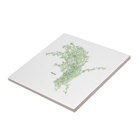 Thyme Drawing Tegeltje (Zijkant)