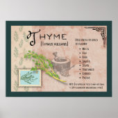 Thyme Herb Botanical Info Poster (Voorkant)