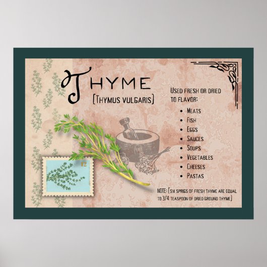 Thyme Herb Botanical Info Poster (Voorkant)