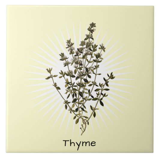  Thyme Herb Botanische Kunstkeramische Tegel Tegeltje (Voorkant)
