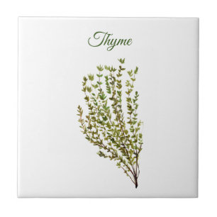 Thyme Herb Greenery Kitchen Culinaire Green Plant  Tegeltje