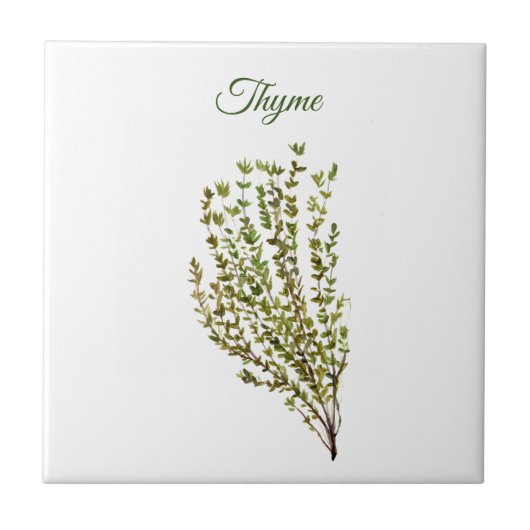 Thyme Herb Greenery Kitchen Culinaire Green Plant Tegeltje (Voorkant)