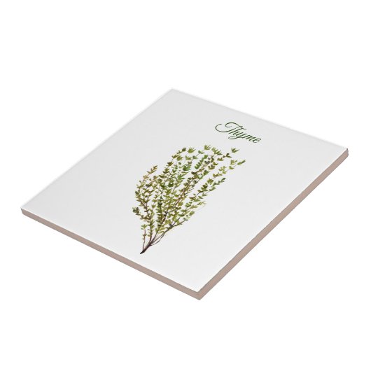 Thyme Herb Greenery Kitchen Culinaire Green Plant Tegeltje (Zijkant)