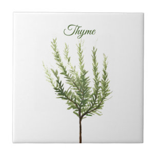 Thyme Herb Greenery Kitchen Culinaire Green Plant  Tegeltje