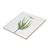 Thyme Herb Greenery Kitchen Culinaire Green Plant  Tegeltje (Zijkant)