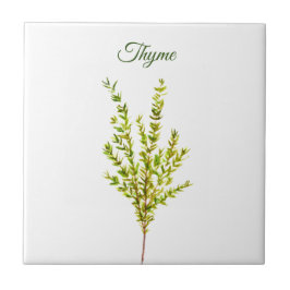 Thyme Herb Greenery Kitchen Culinaire Groen Plant Tegeltje