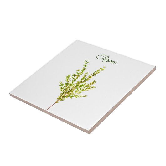 Thyme Herb Greenery Kitchen Culinaire Groen Plant Tegeltje (Zijkant)